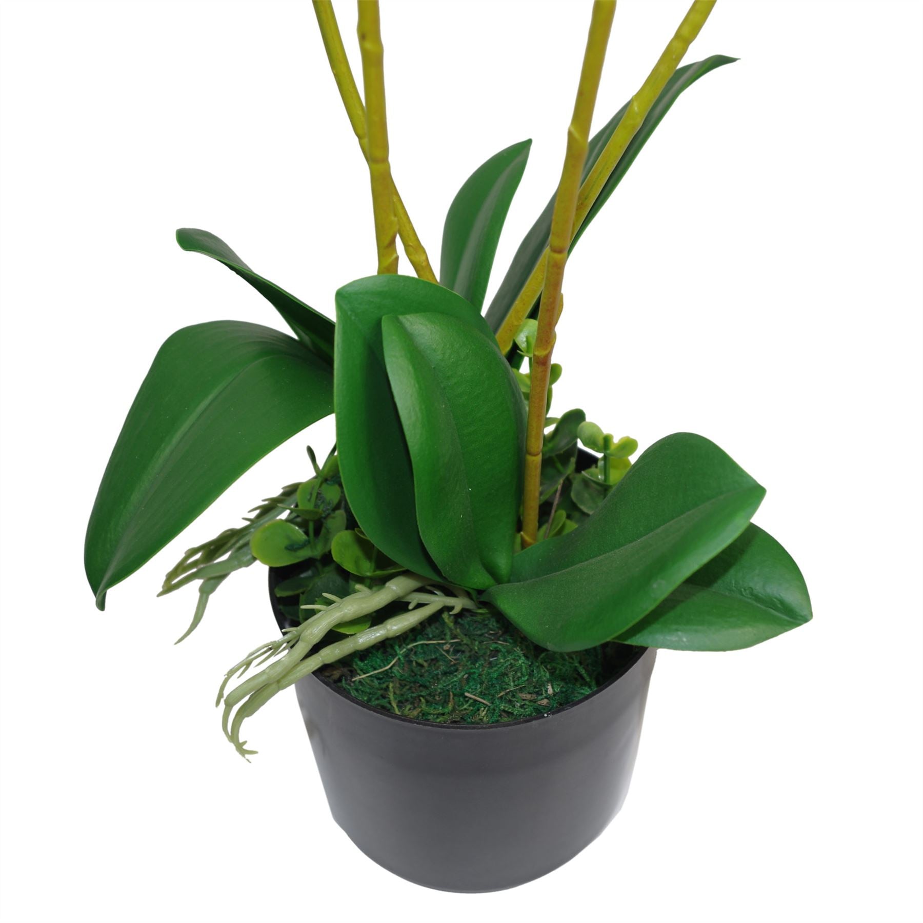 Elegant 60cm Pink Triple Stem Artificial Orchid - Realistic Plant Decor - plants - express.com