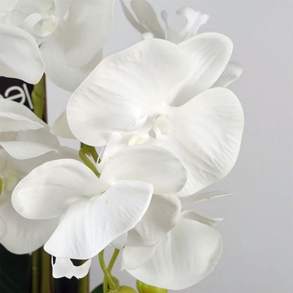 Elegant 60cm Pure White Orchid with Stylish Ceramic Bubble Planter - plants - express.com