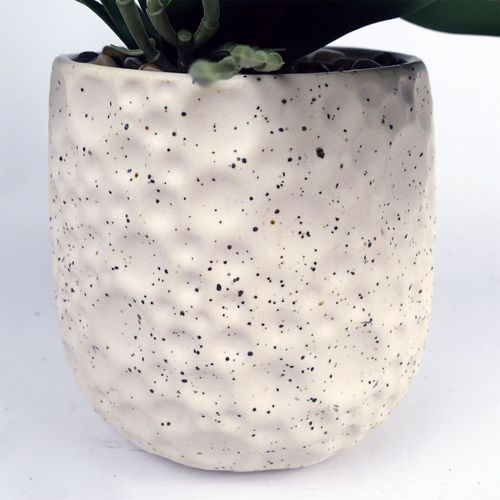 Elegant 60cm Pure White Orchid with Stylish Ceramic Bubble Planter - plants - express.com