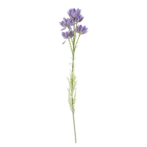 Elegant 60cm Purple Starflower & Fern Arrangement in Glass Vase Set - plants - express.com