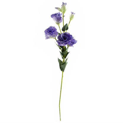 Elegant 60cm Purple Wild Rose Arrangement with Silver Glass Vase - plants - express.com