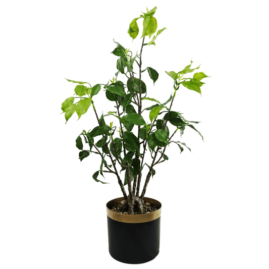 Elegant 60cm Realistic Artificial Banyan Bonsai Ficus Tree for Sophisticated Decor - plants - express.com