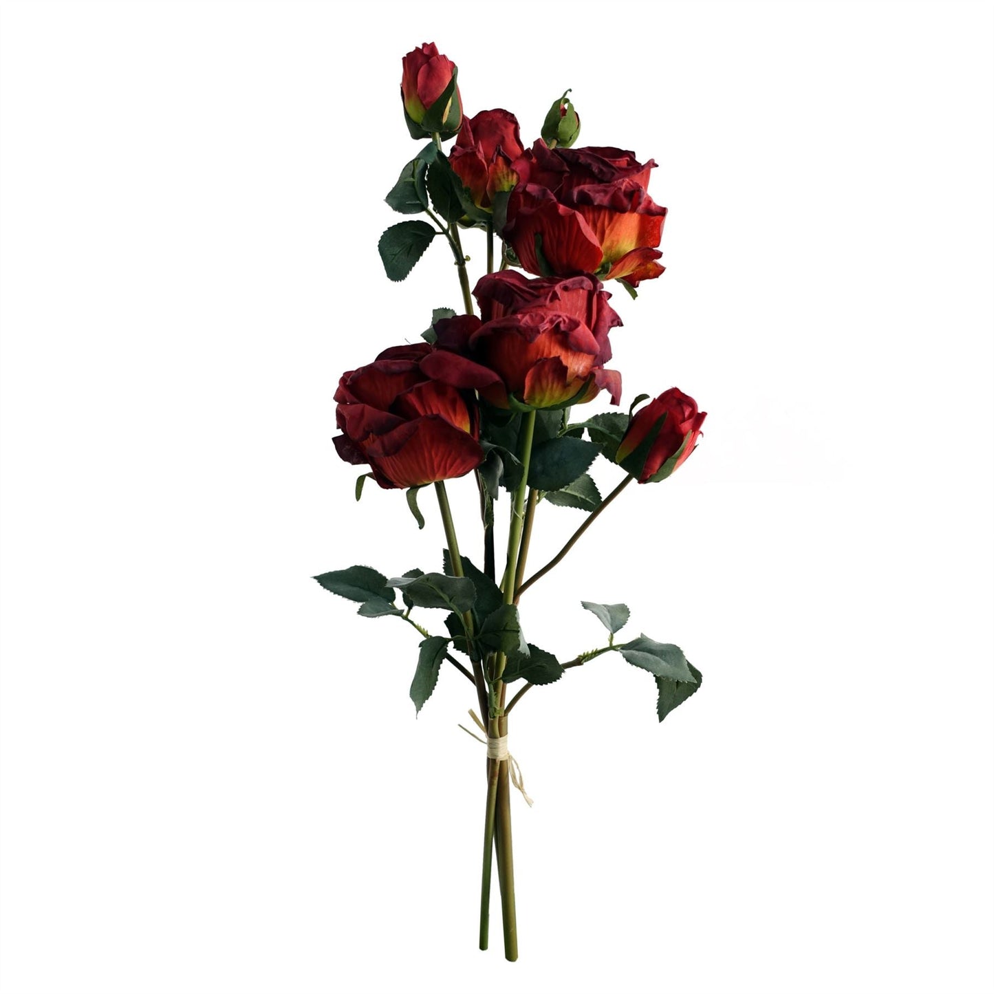 Elegant 60cm Red Rose & Eucalyptus Arrangement with Diamond Glass Vase - plants - express.com