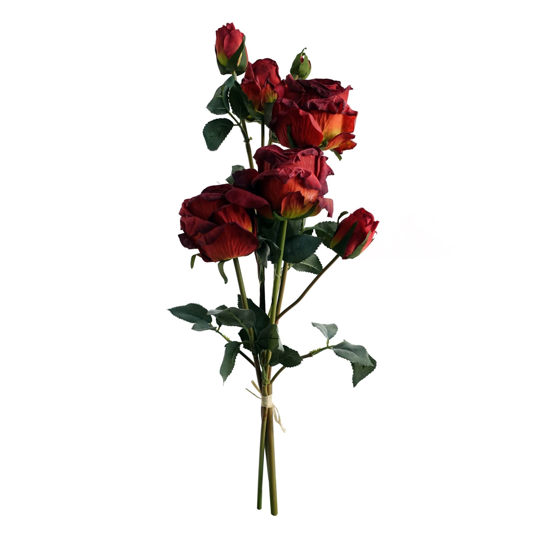 Elegant 60cm Red Rose & Eucalyptus Arrangement with Diamond Glass Vase - plants - express.com