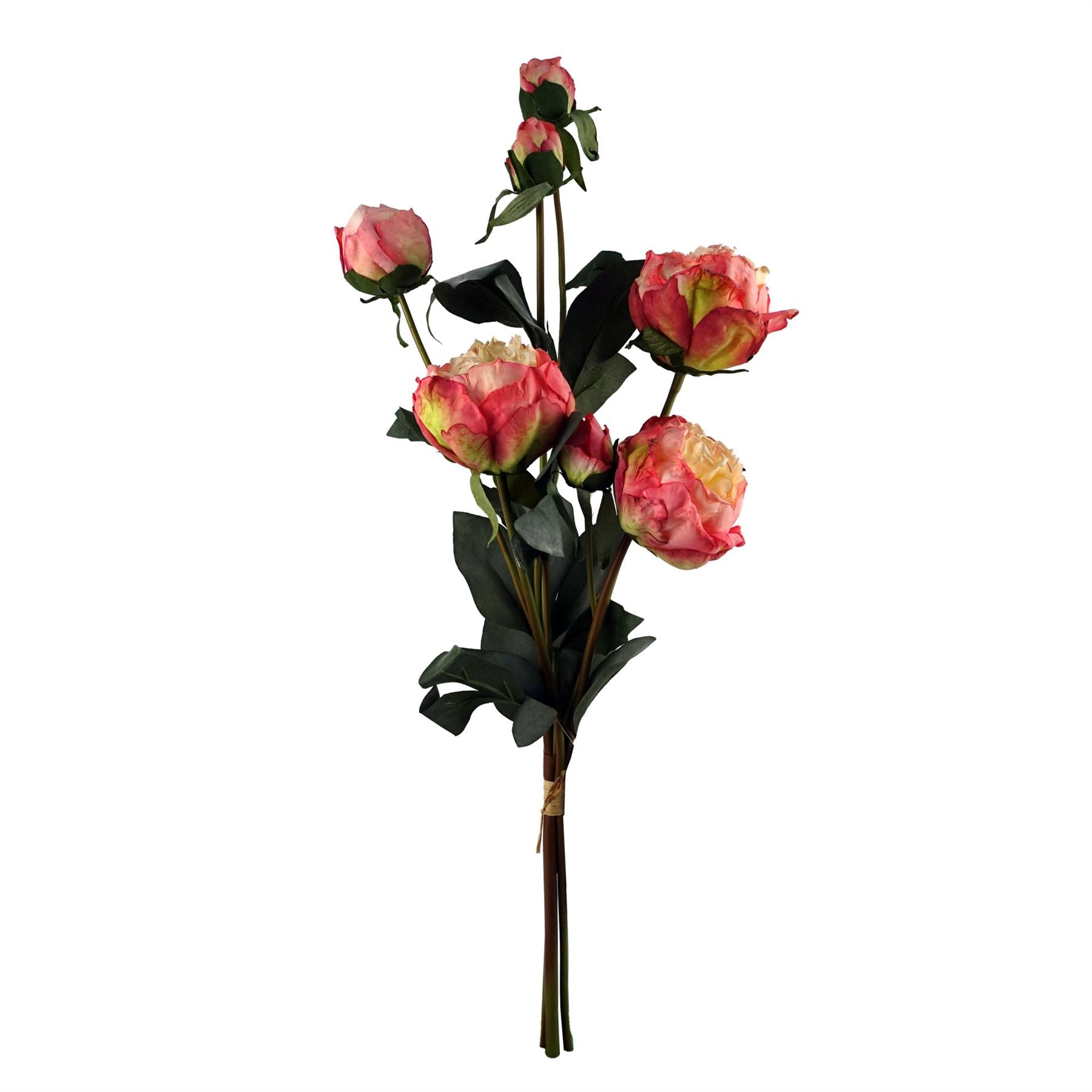 Elegant 60cm Smoke Grey Vase with Vibrant Pink Peonies & Eucalyptus Set - plants - express.com