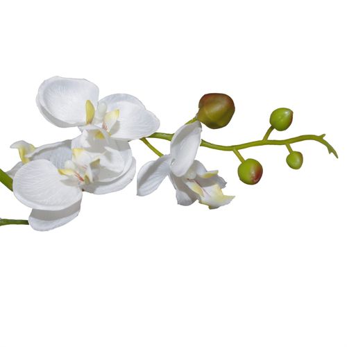 Elegant 60cm Triple Stem White Orchid - Luxe Artificial Plant Arrangement - plants - express.com