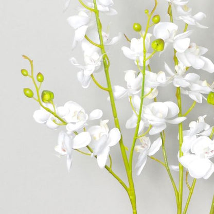 Elegant 60cm Triple Stem White Orchid - Luxe Artificial Plant Arrangement - plants - express.com