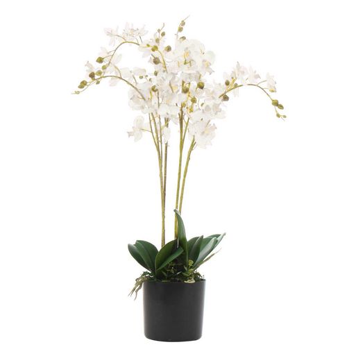 Elegant 60cm Triple Stem White Orchid - Luxe Artificial Plant Arrangement - plants - express.com