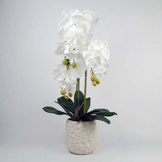 Elegant 60cm White Artificial Orchid in Stylish Ceramic Bubble Planter - plants - express.com