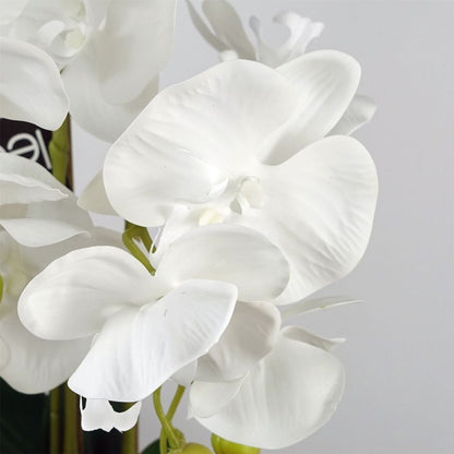 Elegant 60cm White Artificial Orchid in Stylish Ceramic Bubble Planter - plants - express.com