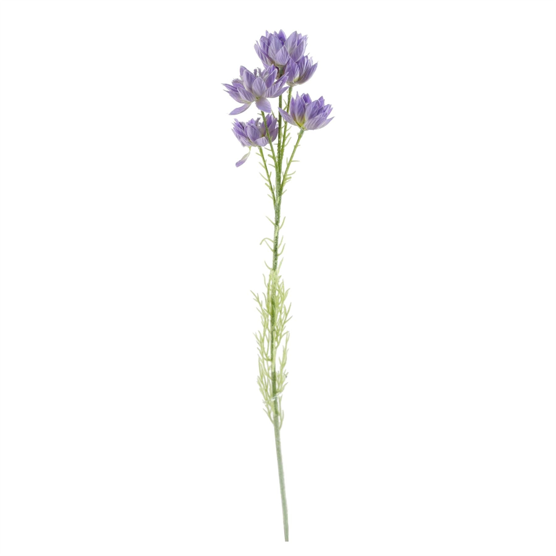Elegant 60cm White Rose & Purple Starflower Arrangement with Glass Vase - plants - express.com