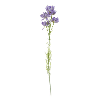 Elegant 60cm White Rose & Purple Starflower Arrangement with Glass Vase - plants - express.com