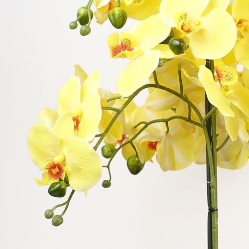 Elegant 60cm Yellow Orchid in Black Ceramic Planter - Lifelike Decor Delight - plants - express.com