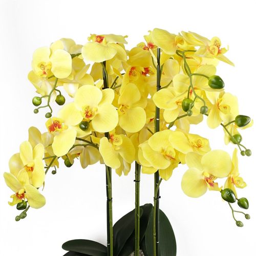 Elegant 60cm Yellow Orchid in Black Ceramic Planter - Lifelike Decor Delight - plants - express.com