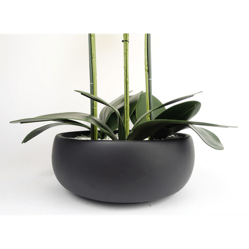 Elegant 60cm Yellow Orchid in Black Ceramic Planter - Lifelike Decor Delight - plants - express.com