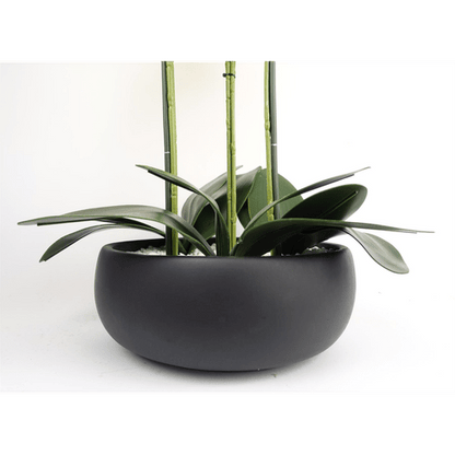 Elegant 60cm Yellow Orchid in Black Ceramic Planter - Lifelike Decor Delight - plants - express.com