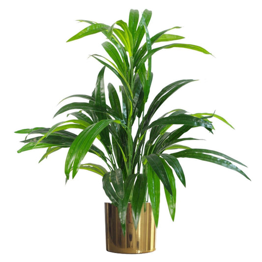 Elegant 65cm Large Leaf Bamboo Plant with Stylish Gold Metal Planter - plants - express.com