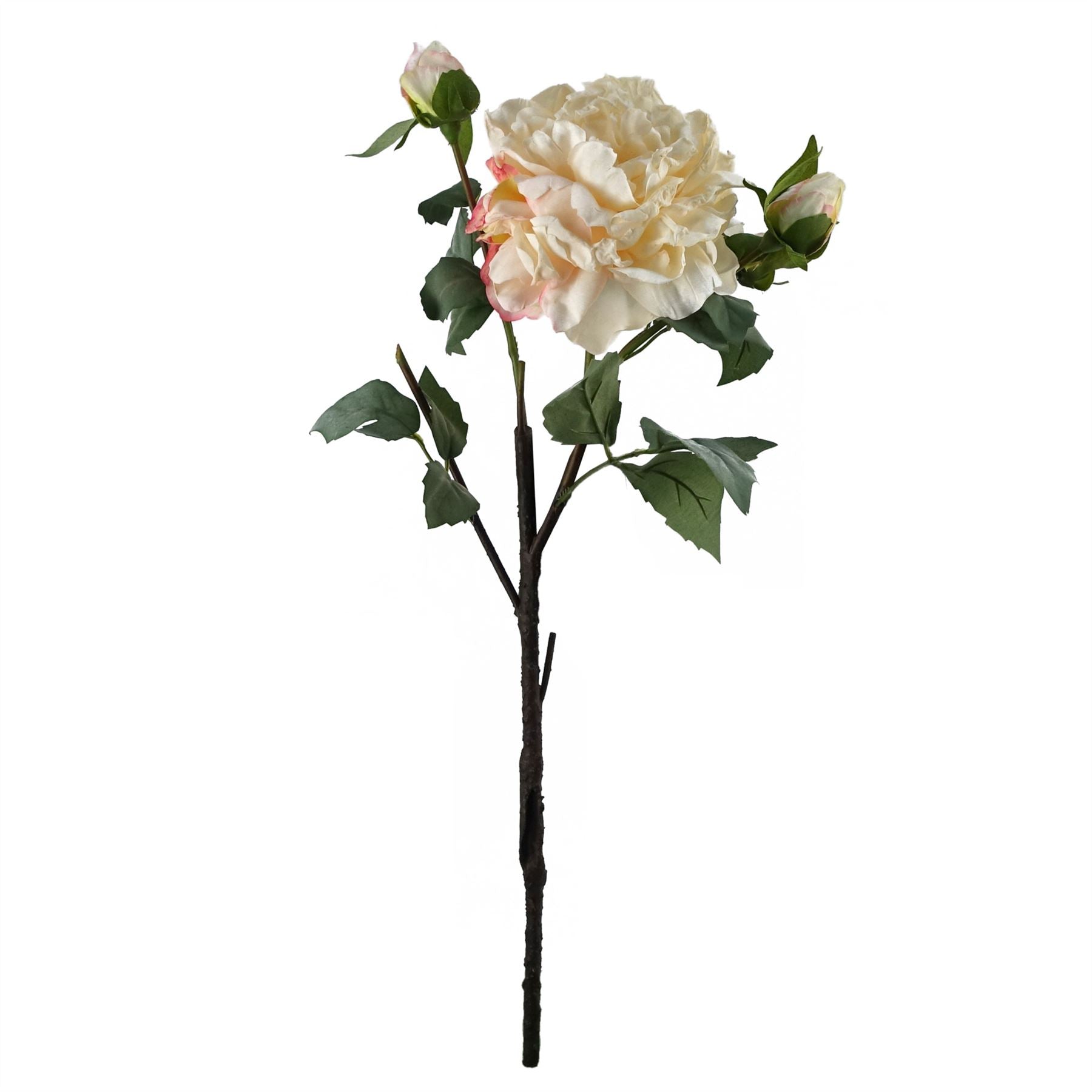 Elegant 65cm Mixed Peonies with Glass Vase – Complete Floral Arrangement Set - plants - express.com