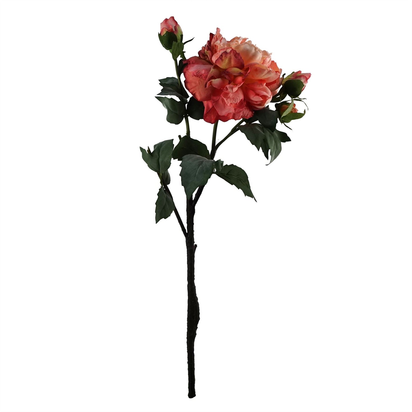 Elegant 65cm Mixed Peonies with Glass Vase – Complete Floral Arrangement Set - plants - express.com