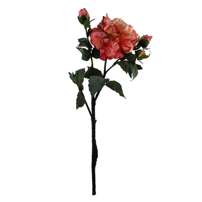 Elegant 65cm Mixed Peonies with Glass Vase – Complete Floral Arrangement Set - plants - express.com