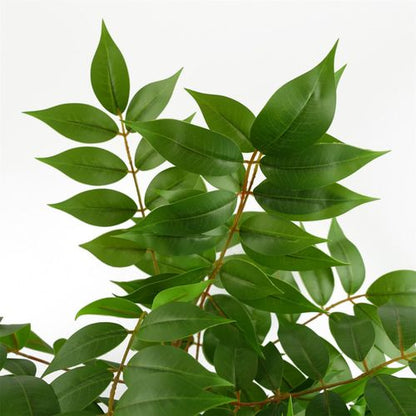 Elegant 65cm Toona Sinensis Artificial Plant - No Maintenance, Instant Oasis - plants - express.com