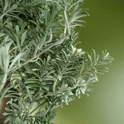 Elegant 70cm Artificial Artemisa Evergreen Shrub - Perfect Home Decor! - plants - express.com
