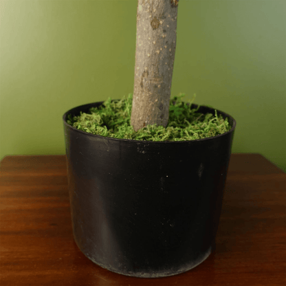 Elegant 70cm Artificial Artemisa Evergreen Shrub - Perfect Home Decor! - plants - express.com