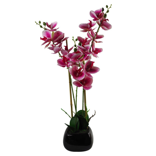 Elegant 70cm Dark Pink Artificial Orchid in Sleek Black Ceramic Planter - plants - express.com