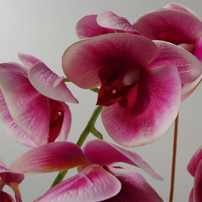 Elegant 70cm Dark Pink Artificial Orchid in Sleek Black Ceramic Planter - plants - express.com