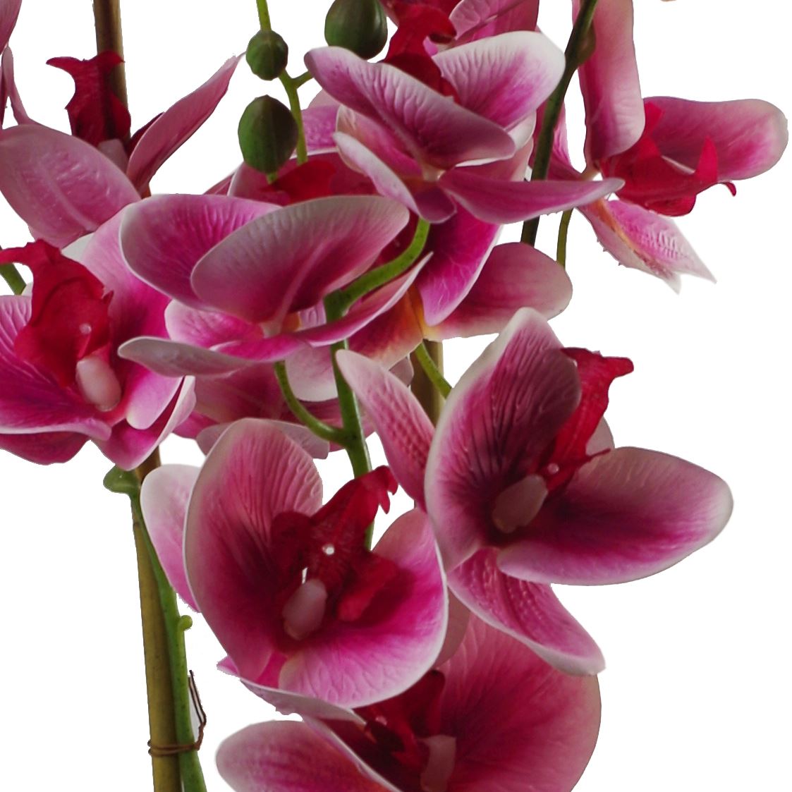 Elegant 70cm Dark Pink Artificial Orchid in Sleek Black Ceramic Planter - plants - express.com