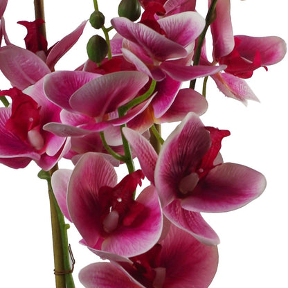 Elegant 70cm Dark Pink Artificial Orchid in Sleek Black Ceramic Planter - plants - express.com