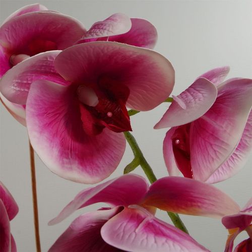 Elegant 70cm Dark Pink Artificial Orchid in Stylish Black Ceramic Planter - plants - express.com