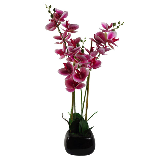 Elegant 70cm Dark Pink Artificial Orchid in Stylish Black Ceramic Planter - plants - express.com