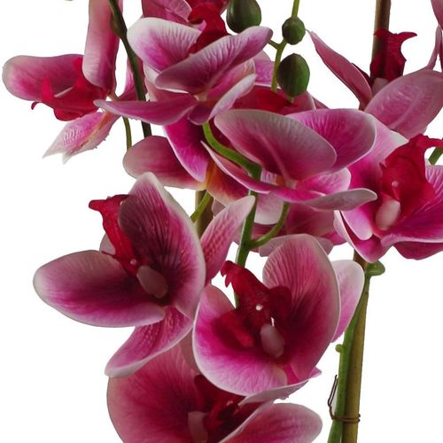 Elegant 70cm Dark Pink Artificial Orchid in Stylish Black Ceramic Planter - plants - express.com