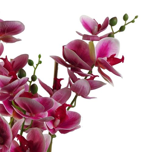 Elegant 70cm Dark Pink Artificial Orchid in Stylish Black Ceramic Planter - plants - express.com