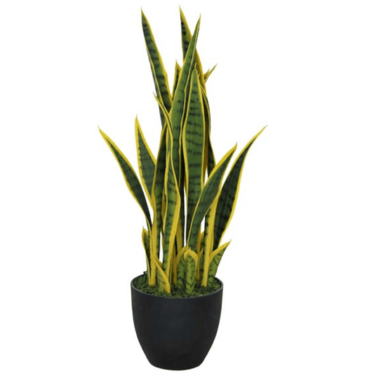 Elegant 70cm Faux Sansevieria Plant in Sturdy Pot - Modern Home Décor - plants - express.com