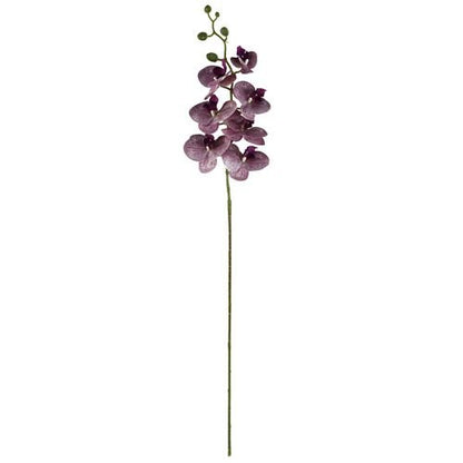 Elegant 70cm Grey Glass Vase with Artificial Orchids & Roses - Complete Set - plants - express.com