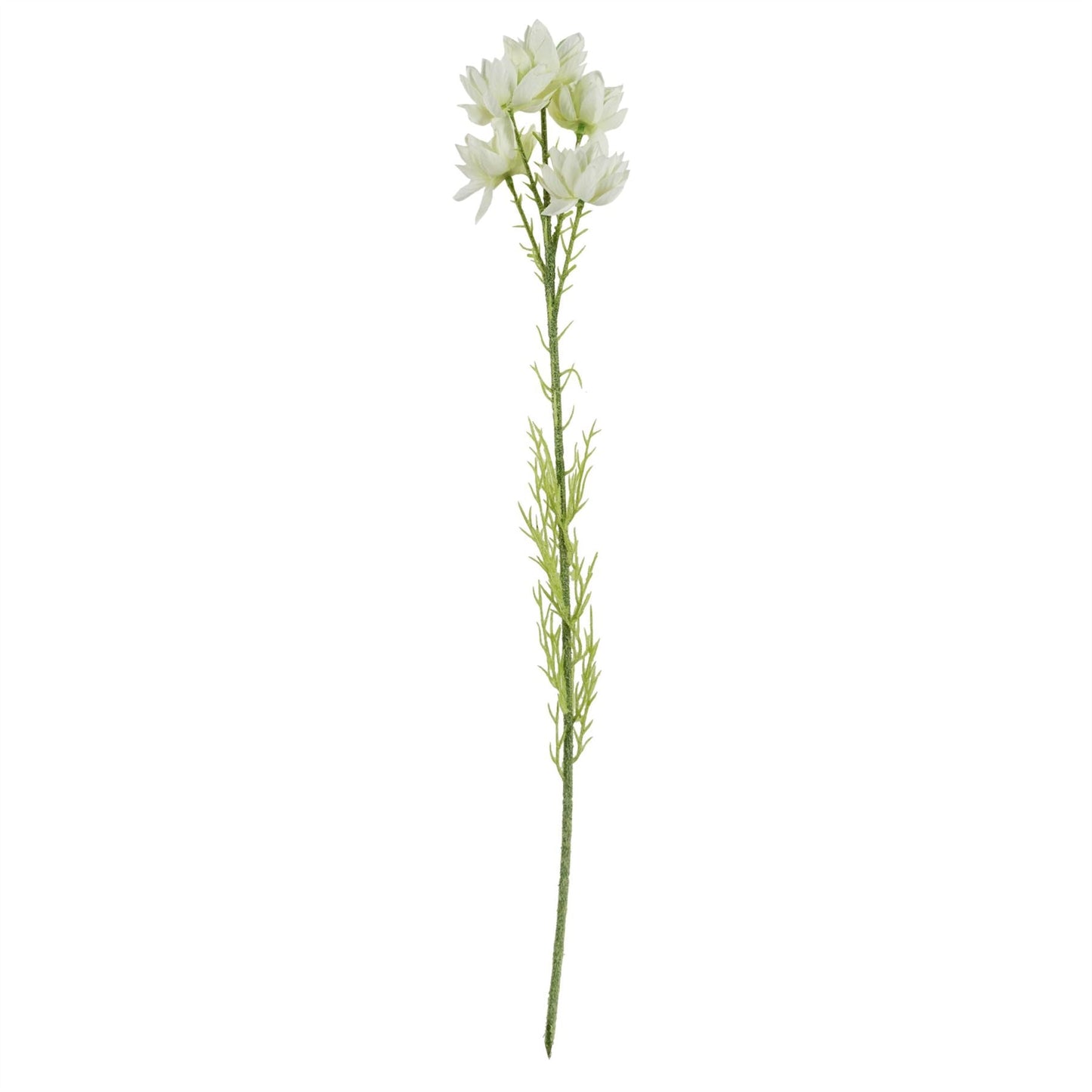 Elegant 75cm Ombre Glass Vase with White Starflower & Fern Arrangement - plants - express.com