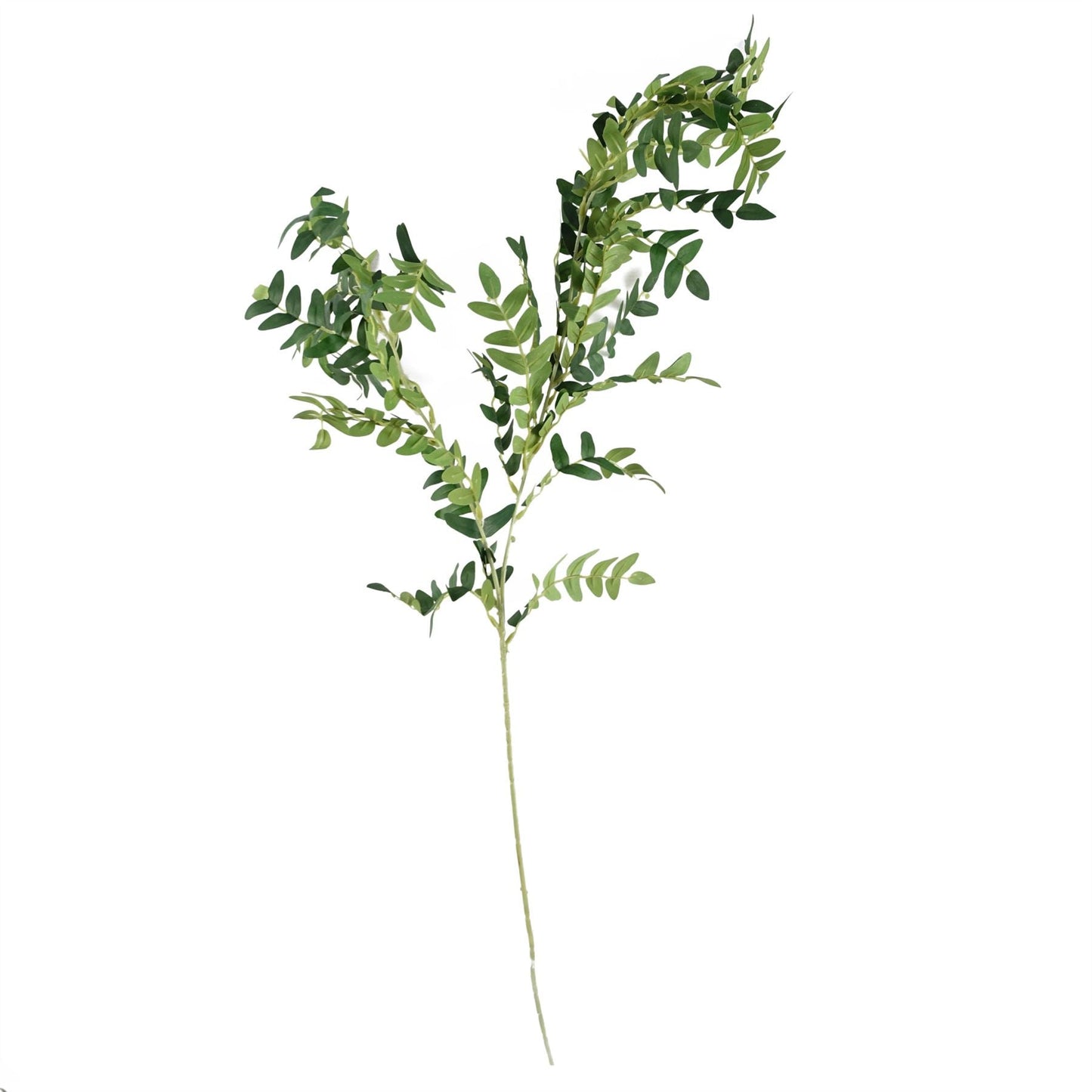 Elegant 75cm Ombre Glass Vase with White Starflower & Fern Arrangement - plants - express.com