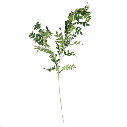 Elegant 75cm Ombre Glass Vase with White Starflower & Fern Arrangement - plants - express.com