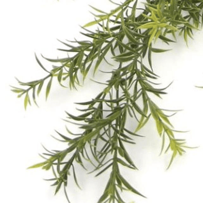 Elegant 78cm UV & Fire Resistant Hanging Spider Fern - Lush Greenery Anywhere! - plants - express.com