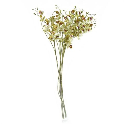 Elegant 80cm Cream Mini Orchid Stems - Set of 6 for Stunning Arrangements - plants - express.com