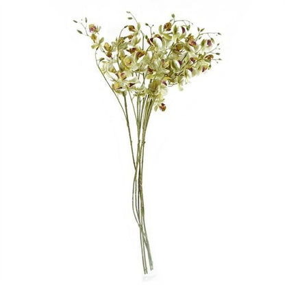 Elegant 80cm Cream Mini Orchid Stems - Set of 6 for Stunning Arrangements - plants - express.com