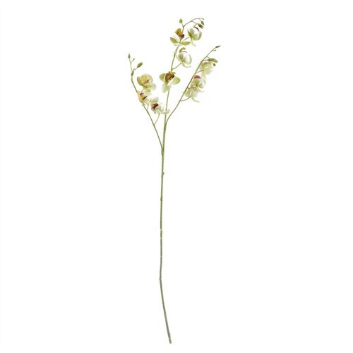 Elegant 80cm Cream Mini Orchid Stems - Set of 6 for Stunning Arrangements - plants - express.com