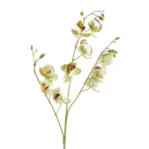 Elegant 80cm Cream Mini Orchid Stems - Set of 6 for Stunning Arrangements - plants - express.com