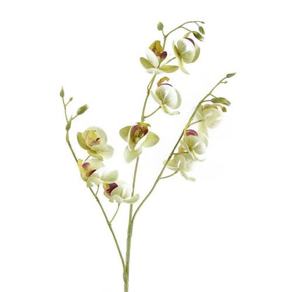 Elegant 80cm Cream Mini Orchid Stems - Set of 6 for Stunning Arrangements - plants - express.com