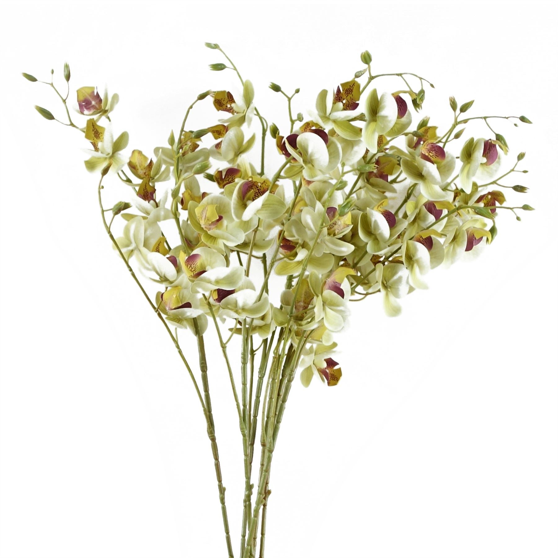 Elegant 80cm Cream Mini Orchid Stems - Set of 6 for Stunning Arrangements - plants - express.com