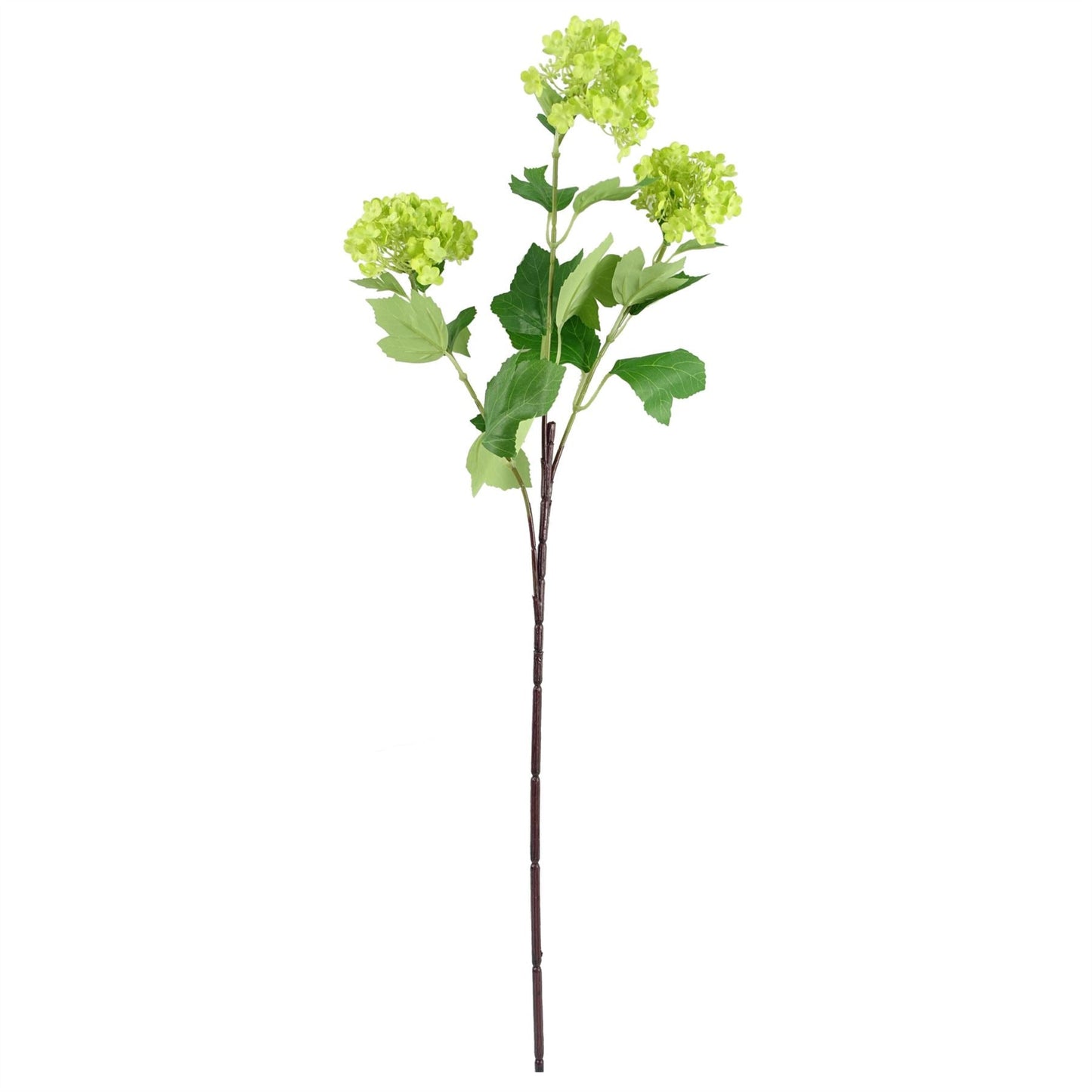 Elegant 80cm White Carnation & Larkspur Arrangement in Modern Glass Vase - plants - express.com