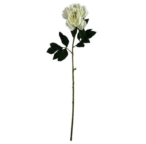Elegant 80cm White Peony Stems - Pack of 6 for Stunning Floral Arrangements - plants - express.com