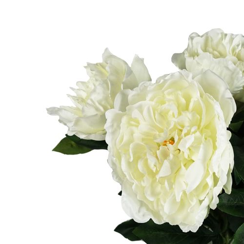 Elegant 80cm White Peony Stems - Pack of 6 for Stunning Floral Arrangements - plants - express.com